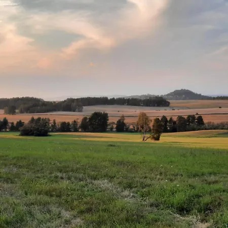 Daire Forest Paradise Stružná