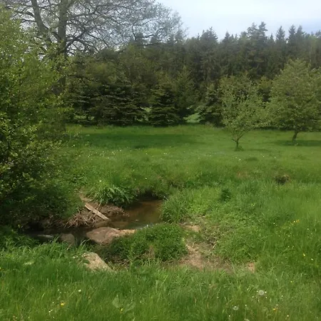 Apartmán Forest Paradise *