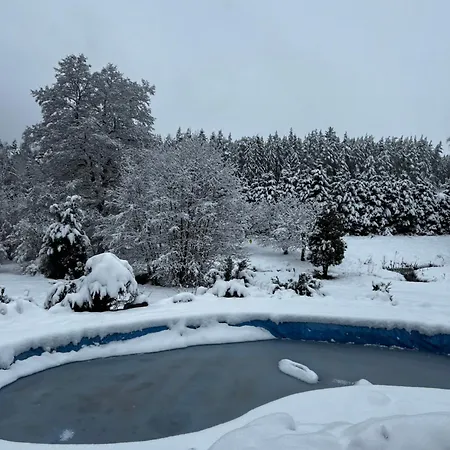 Forest Paradise * Stružná