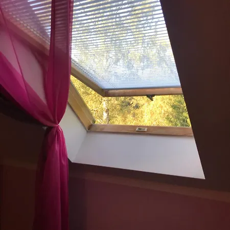 Apartmán Forest Paradise