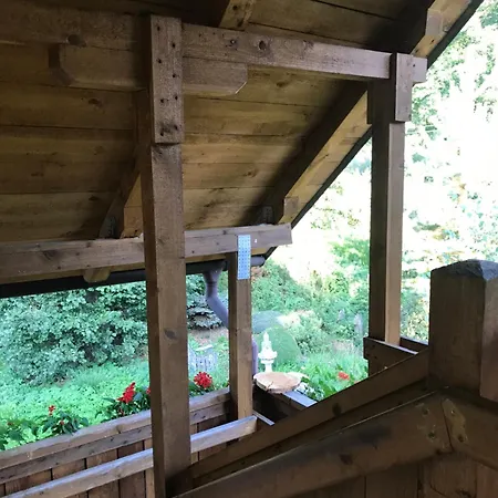 Forest Paradise Stružná