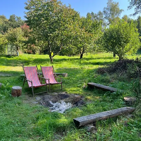 Forest Paradise Stružná