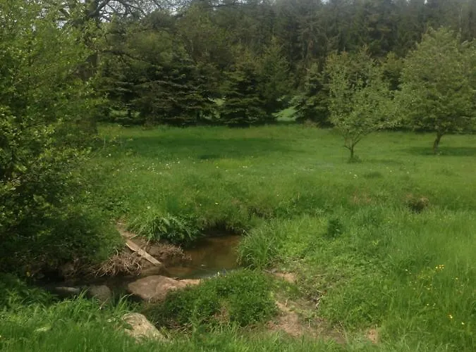 شقة Forest Paradise *