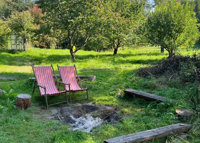 Forest Paradise Stružná