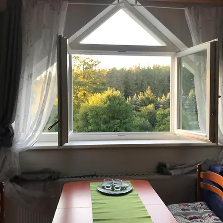 Forest Paradise Struzna